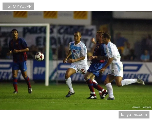 南美杯赛事最新进展与赛况分析